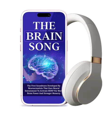 The-brain-song