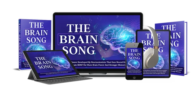 The-brain-song-official-website