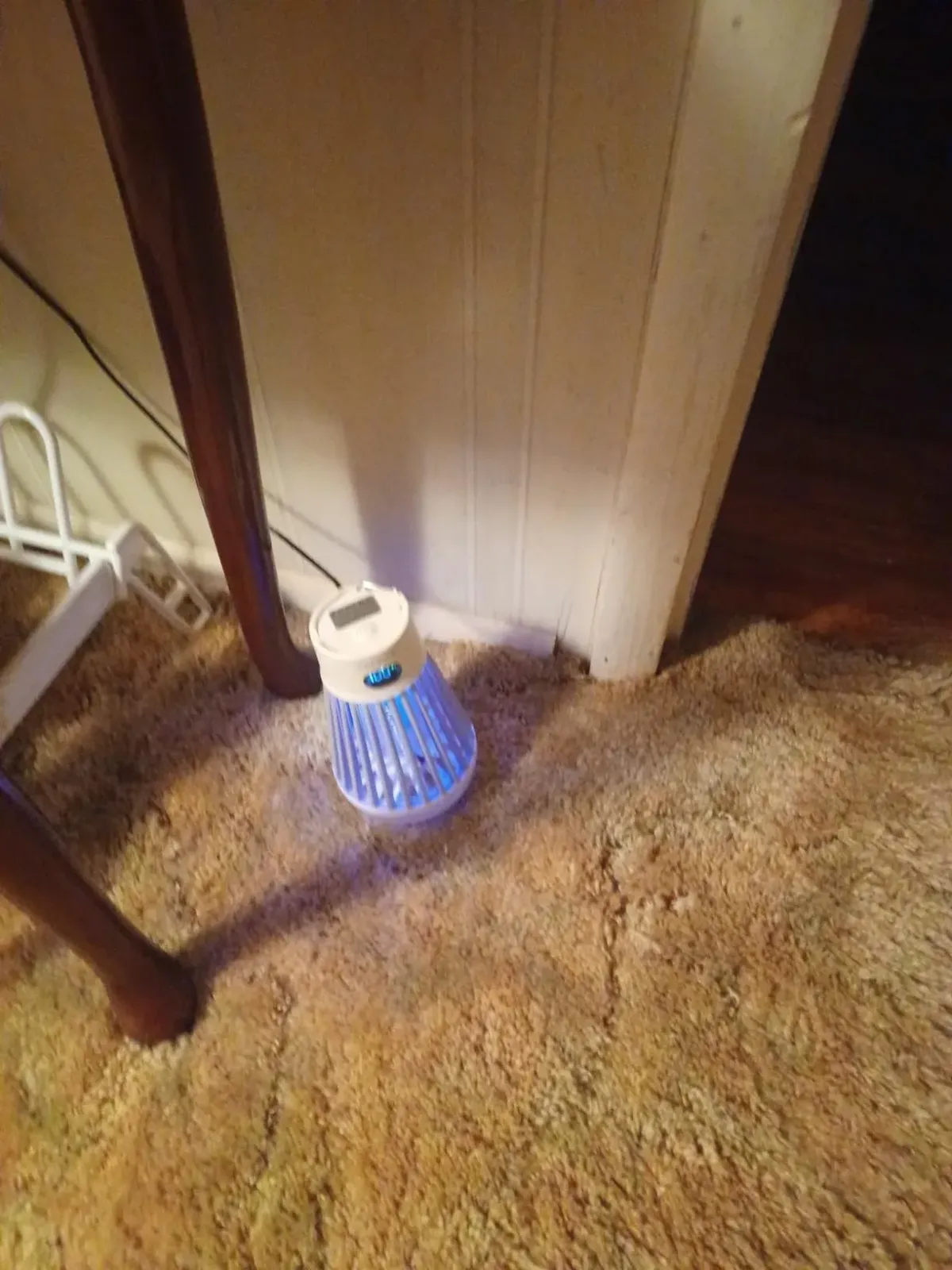 mosquito zapper lamp for home protection