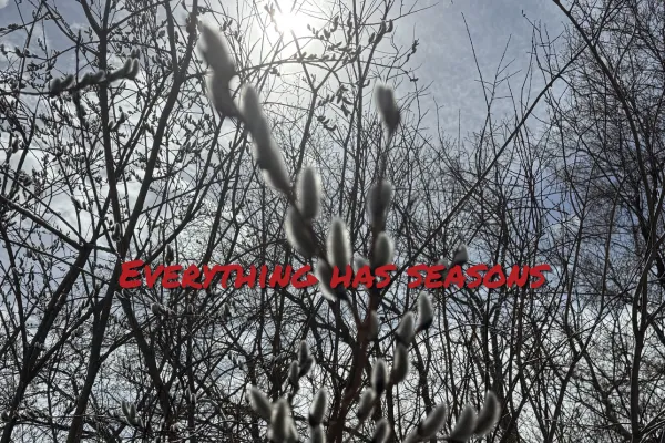 Everything Has Seasons