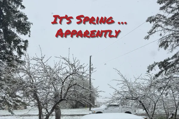 It’s Spring… Apparently