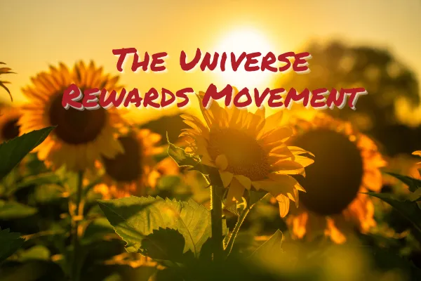 The Universe Rewards Movement, Not Perfection