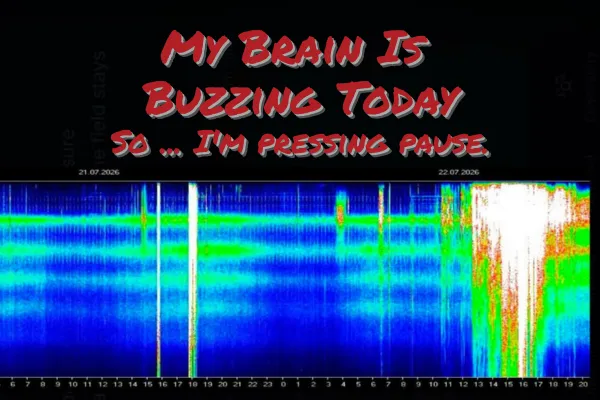 My Brain Is Buzzing Today | Why Sometimes the Best Next Step Is to Pause