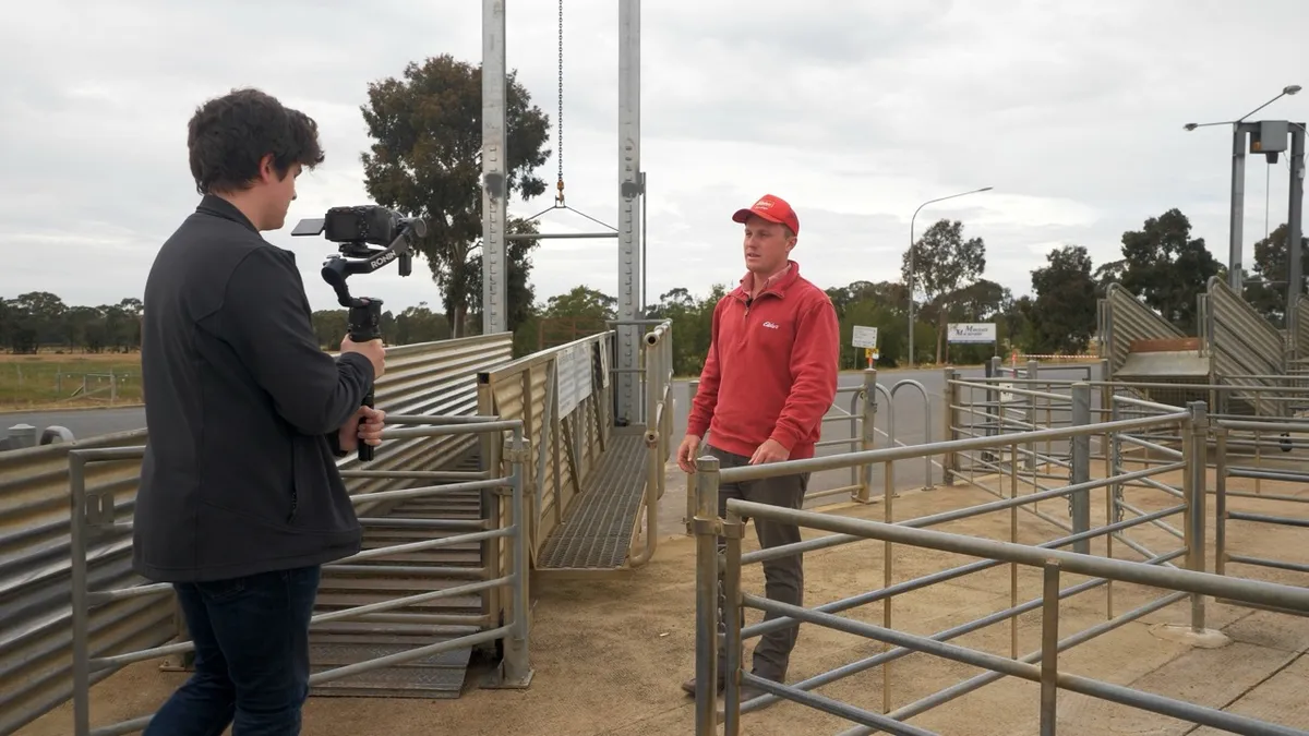 Camera operator filming a presenter beside the outdoor livestock pens
