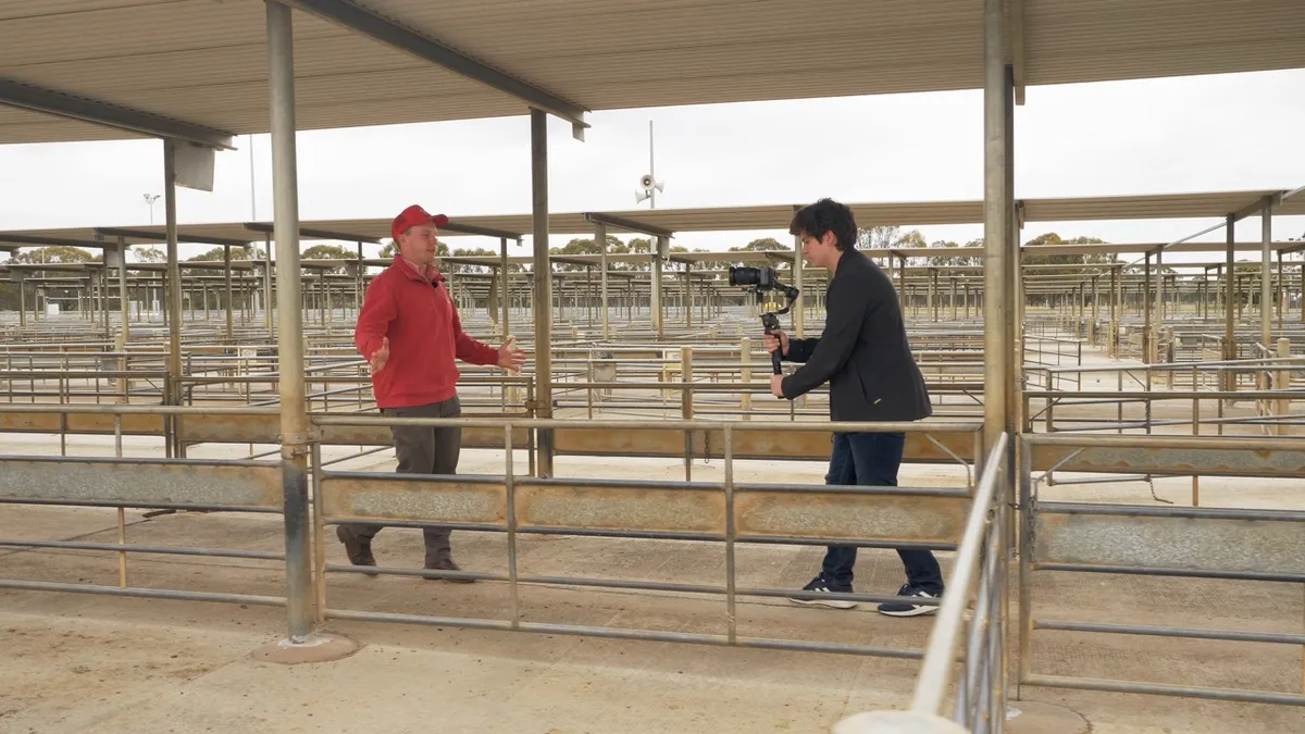 Camera operator filming a presenter between livestock pens