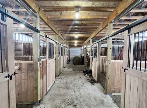 Power Plus Electrical