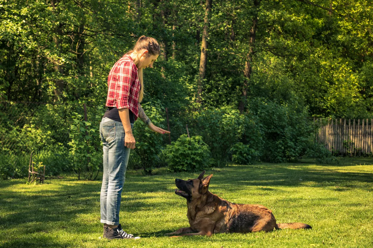 How Training Prevents Bites: Dog–Kid Safety Rules Every Family Needs