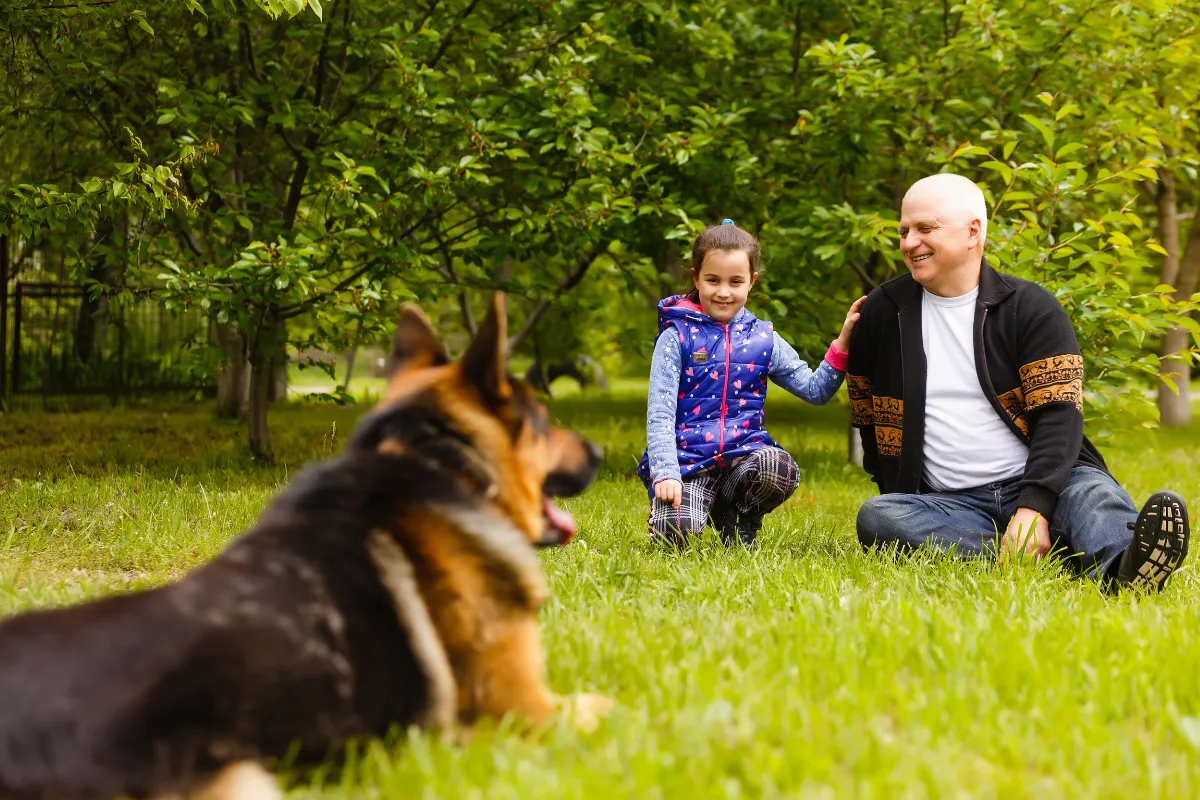 Why a Well-Trained Family Dog Matters (Especially With Kids)