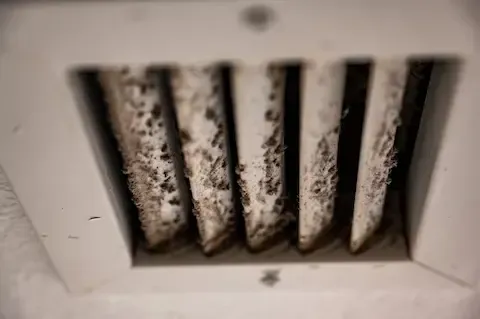 Close-up of mold growth inside air vent – Huntsville Mold Removal Pros.