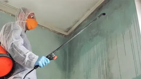 Technician spraying mold cleaner on bathroom wall – Huntsville Mold Removal Pros.