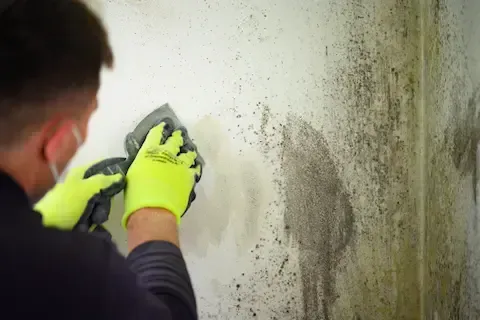 Technician cleaning black mold from interior wall – Huntsville Mold Removal Pros.
