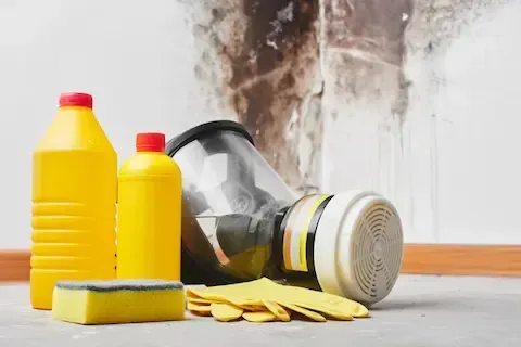 Protective gear and cleaning supplies for mold removal – Huntsville Mold Removal Pros.