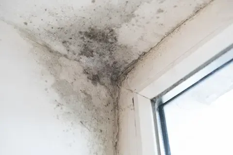 Black mold growing on house wall corner near window – Huntsville Mold Removal Pros.