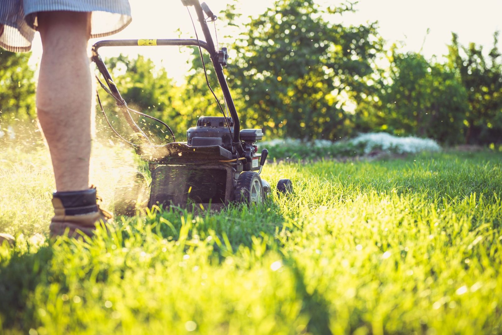 Lawn Care & Landscaping