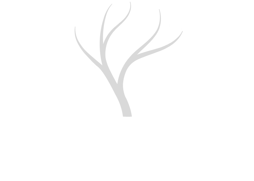 Boynton Beach Tree Service Logo white