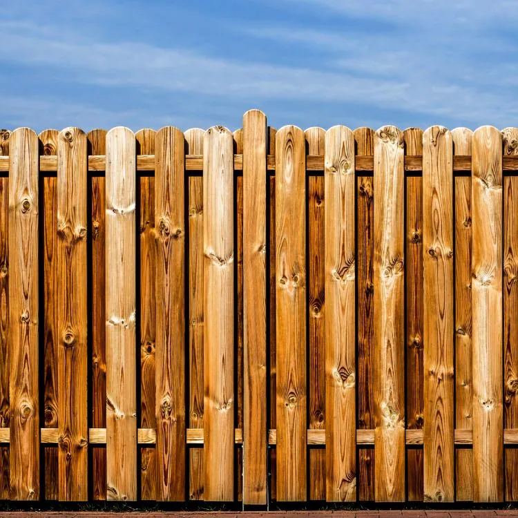 Wood picket type fence