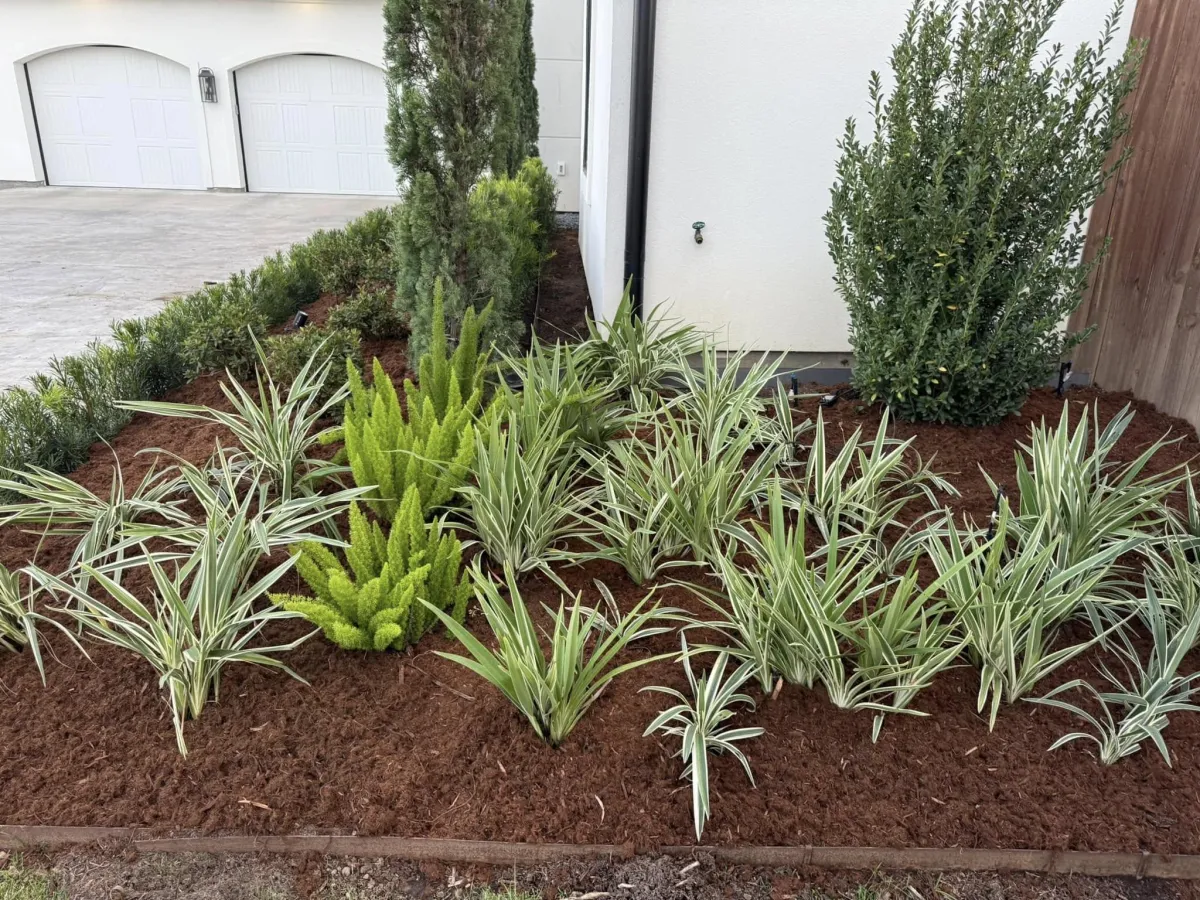 Lafayette Landscaping