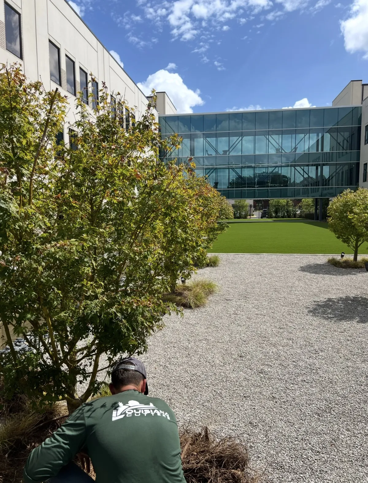 Lafayette Landscaping