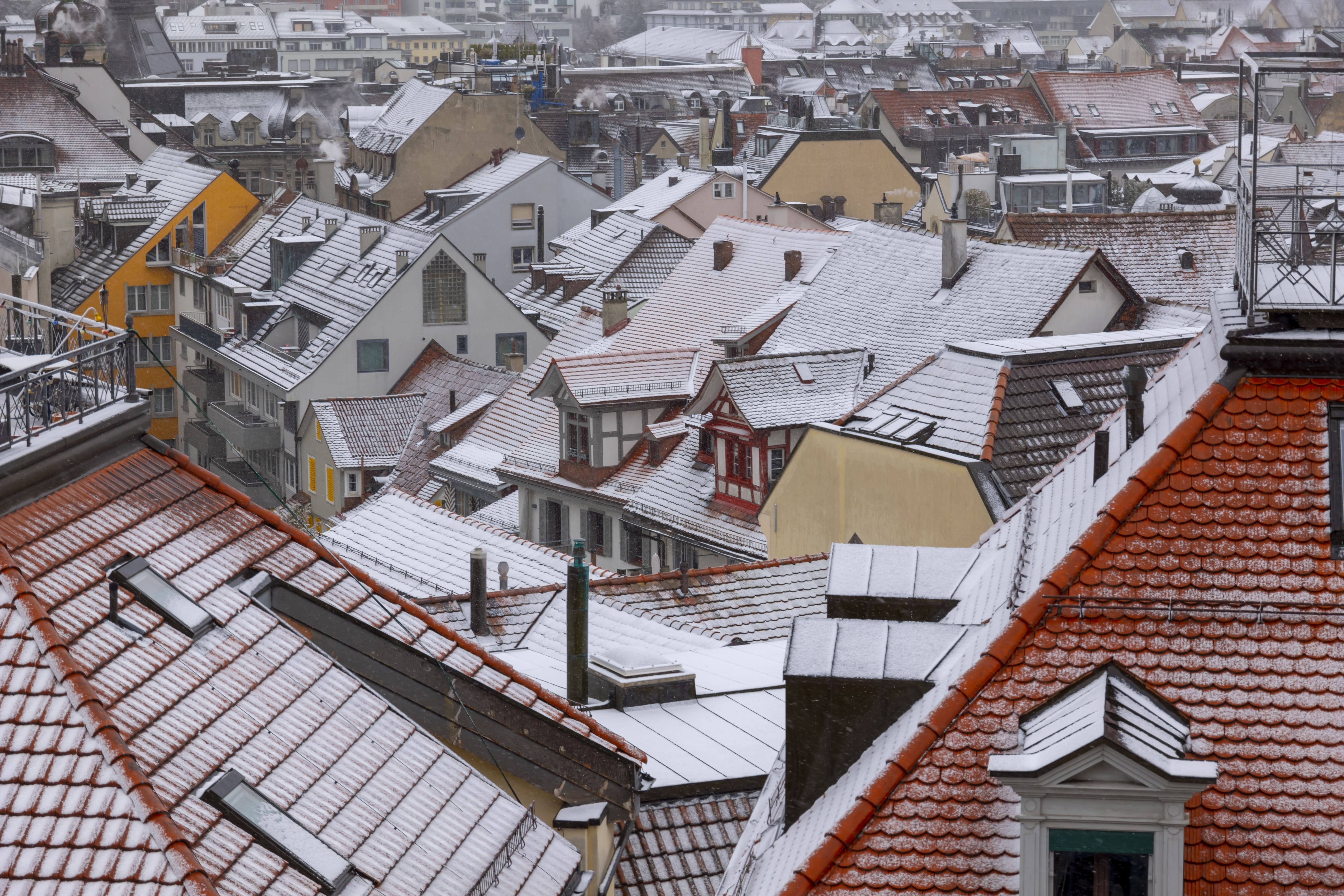 Best Roofing Companies in Denver: How to Choose a Contractor
