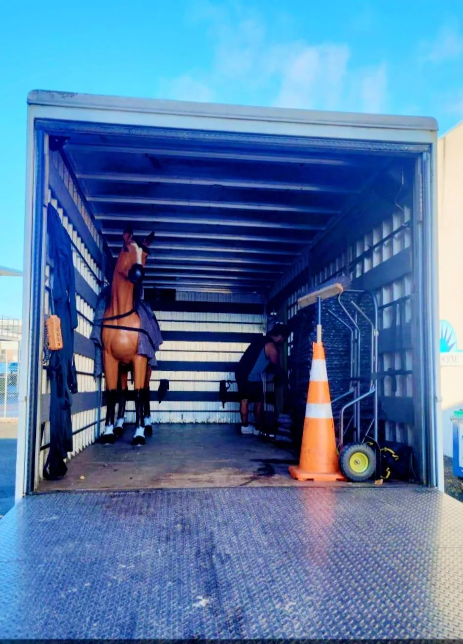 pro moving moving truck with horse in back