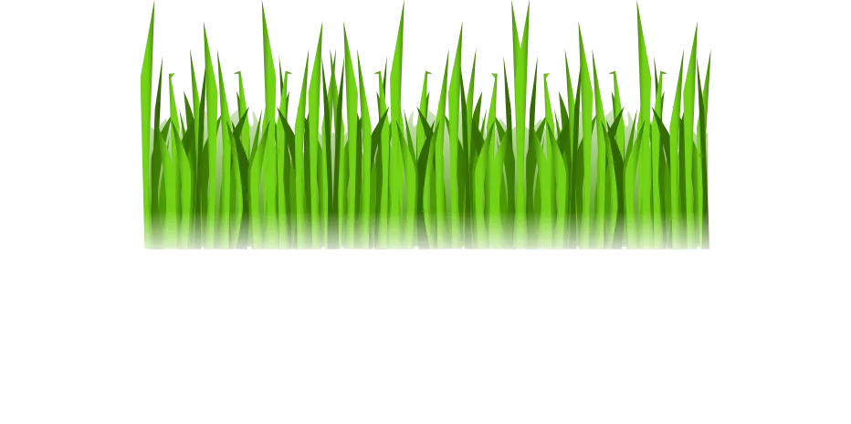 Artificial Turf of Clearwater
