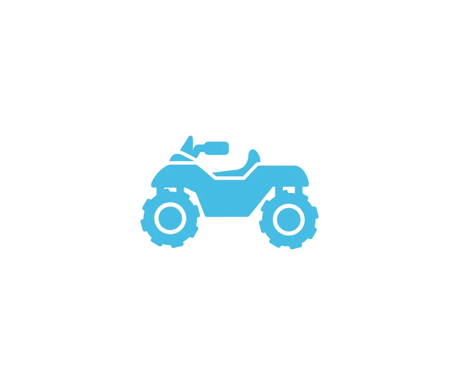 Auto Insurance