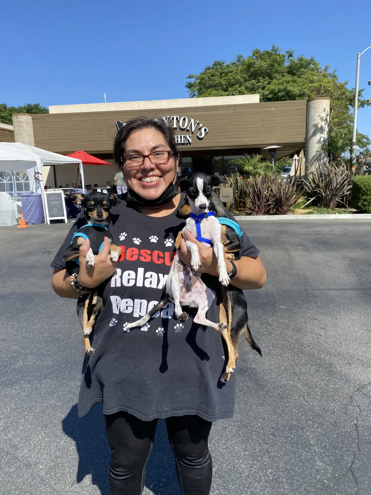 Paw Works Volunteer and 2 Dogs