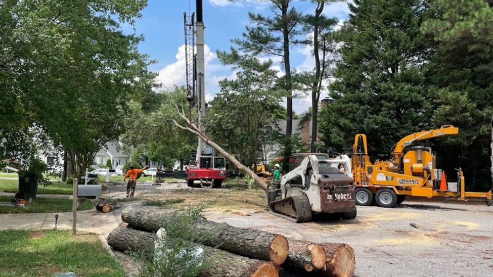 Complete Tree Care Services in Sans Souci, SC