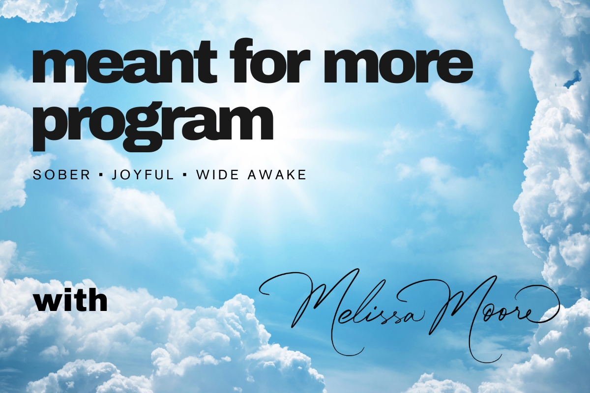 Meant for More Program Product Image