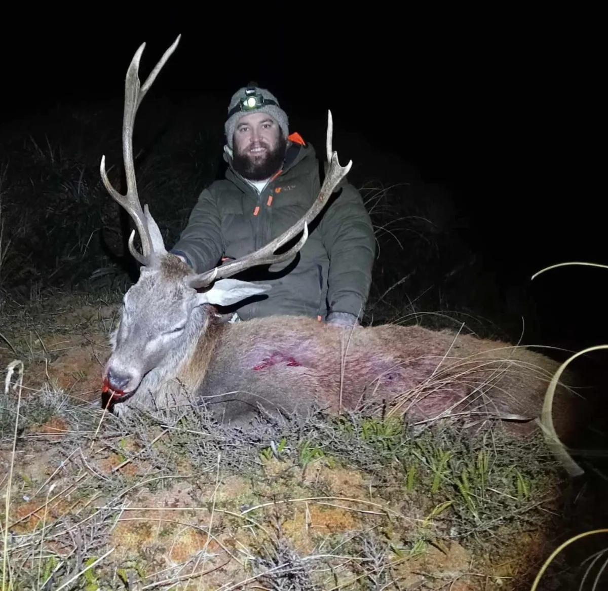 Tussock Top Pest Control deer removal expert with wild stag after humane control operation