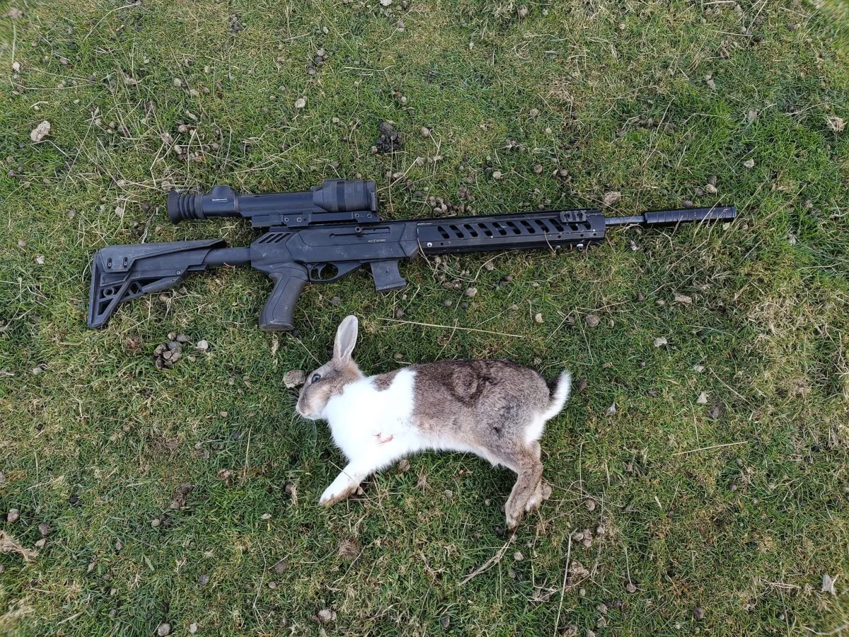 Rifle and rabbit after ethical pest control operation in Southland farmland