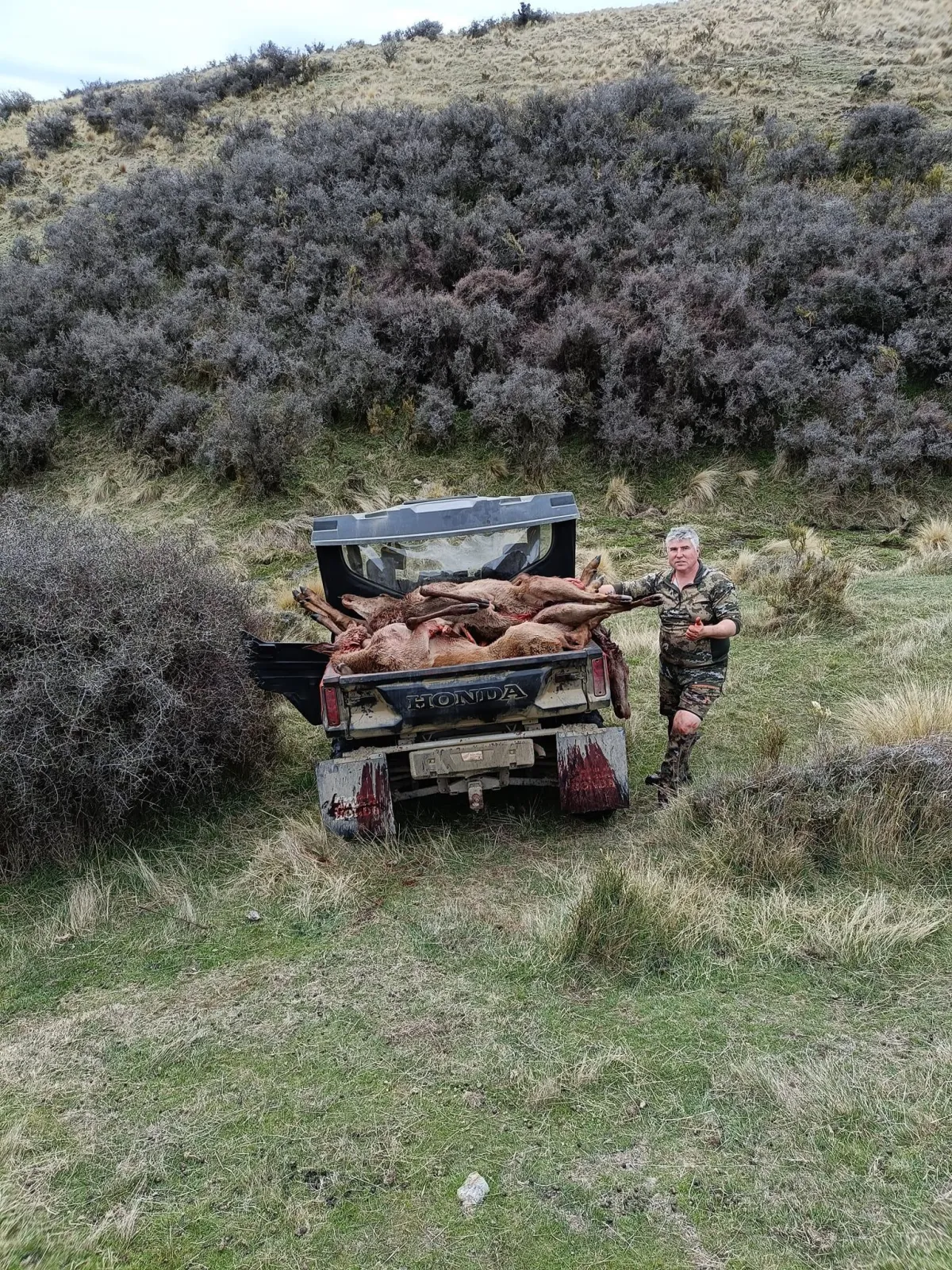 Tussock Top Pest Control ute loaded with humanely removed pests in Otago