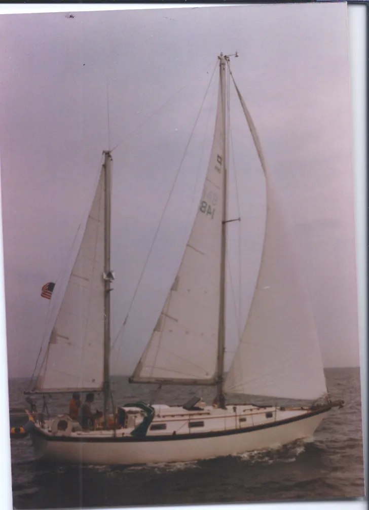 Sailboat named Shamrock