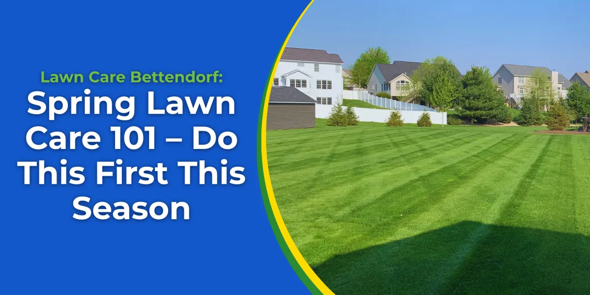 Lawn Care Bettendorf: Spring Lawn Care 101 – Do This First This Season