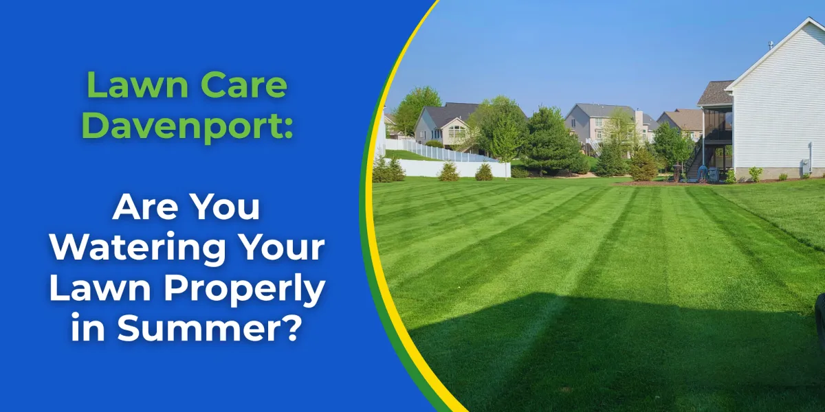 Lawn Care Davenport: Are You Watering Your Lawn Properly in Summer?