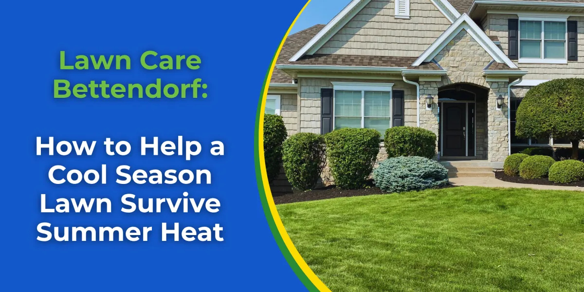 Lawn Care Bettendorf: How to Help a Cool Season Lawn Survive Summer Heat