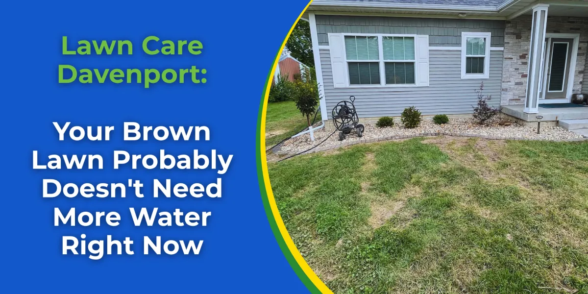 Lawn Care Davenport: Your Brown Lawn Probably Doesn't Need More Water Right Now