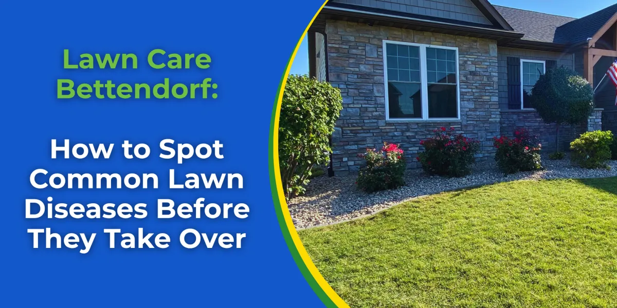 Lawn Care Bettendorf: How to Spot Common Lawn Diseases Before They Take Over