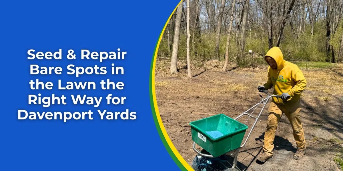 Seed & Repair Bare Spots in the Lawn the Right Way for Davenport Yards