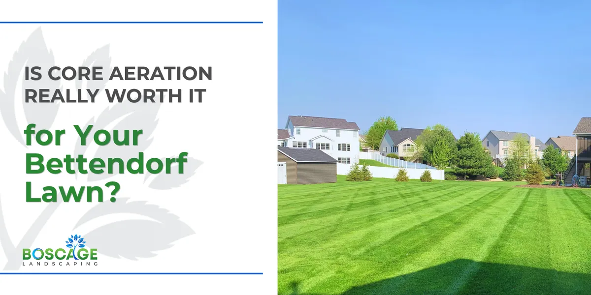 Is Core Aeration Really Worth It for Your Bettendorf Lawn?