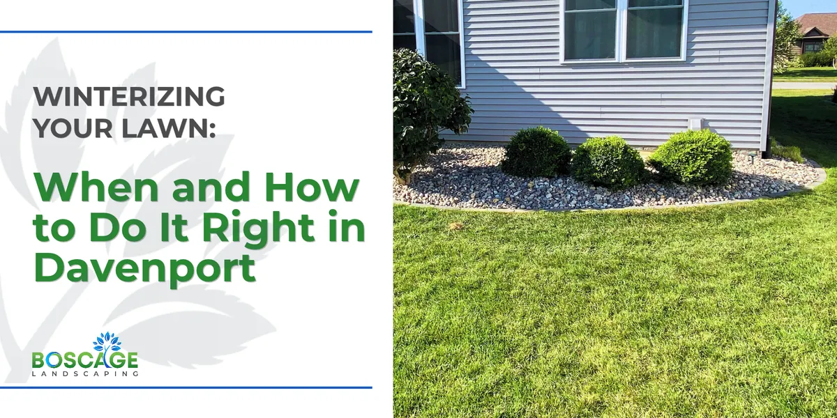 Winterizing Your Lawn: When and How to Do It Right in Davenport