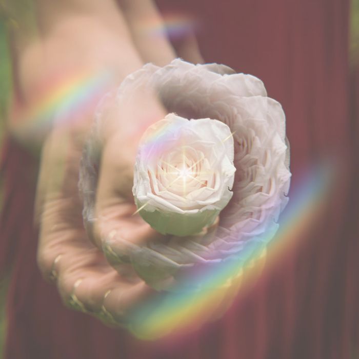 The Heart of Peace Meditation with Martine Kleissen