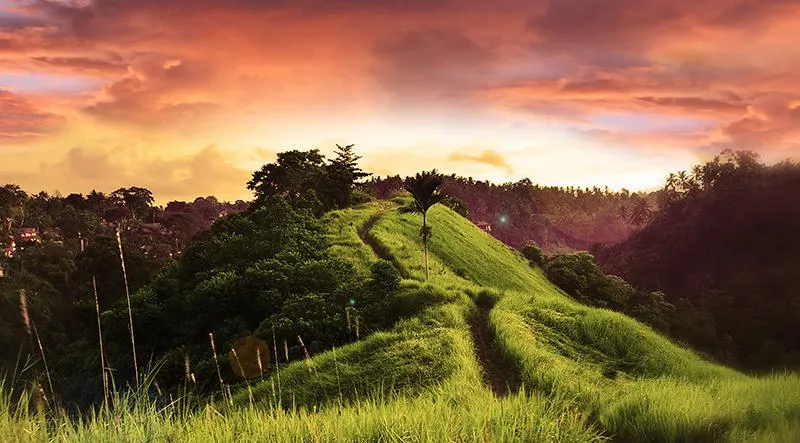 beautiful pathway image from Bali Indonesia.