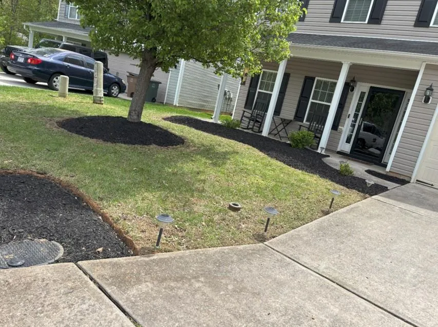 A well-kept front yard with clean mulch beds and small decorative plants near a driveway.