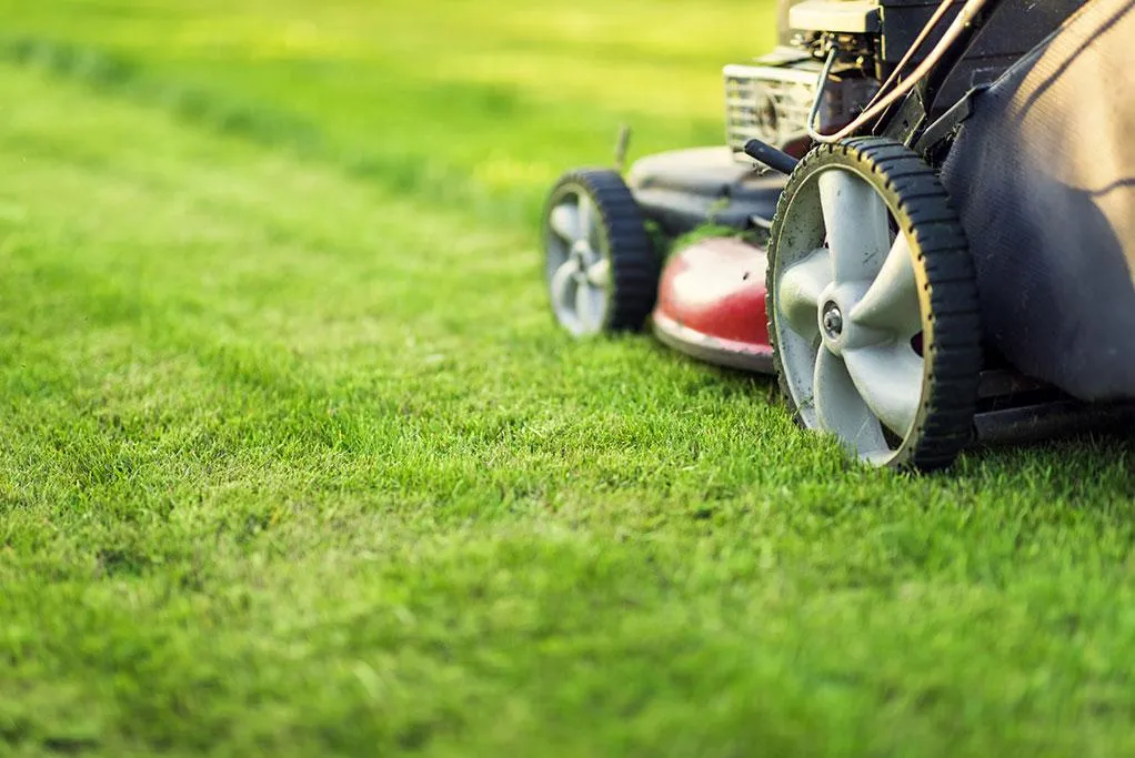 a lawn mower on the lawn