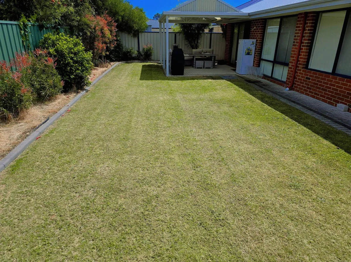 a freshly mown lawn