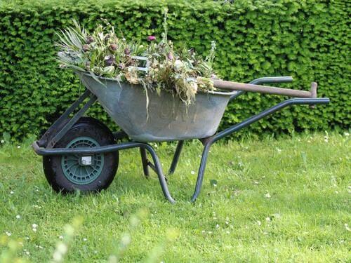 Yard Clean Up in Henderson