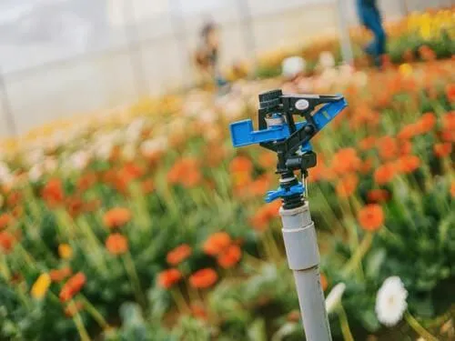 Irrigation Repair in Henderson