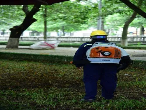 Landscape Maintenance in Henderson