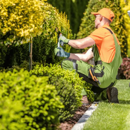 Spring Valley Irrigation Repair